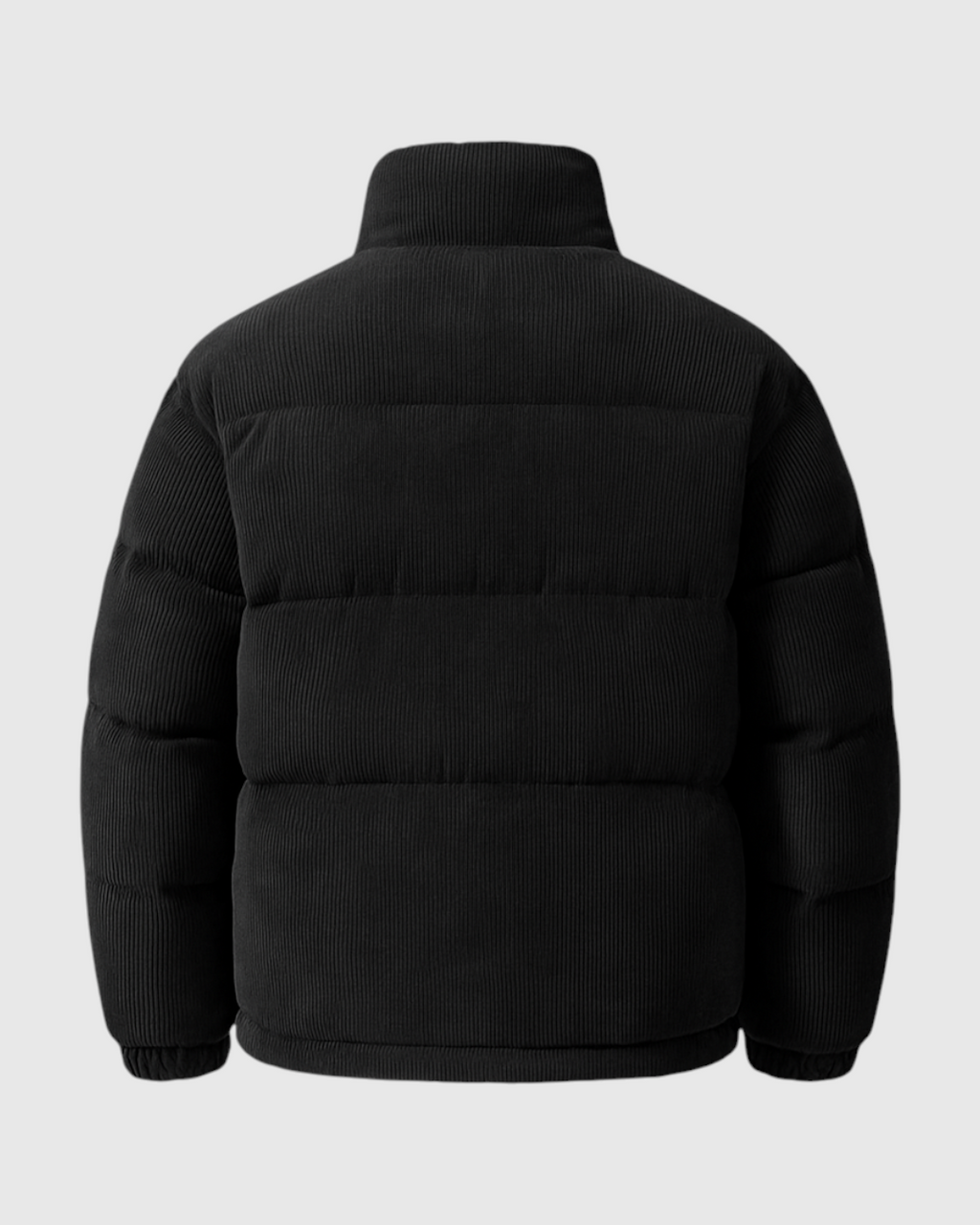 Chaqueta negro de hombre moderna de invierno